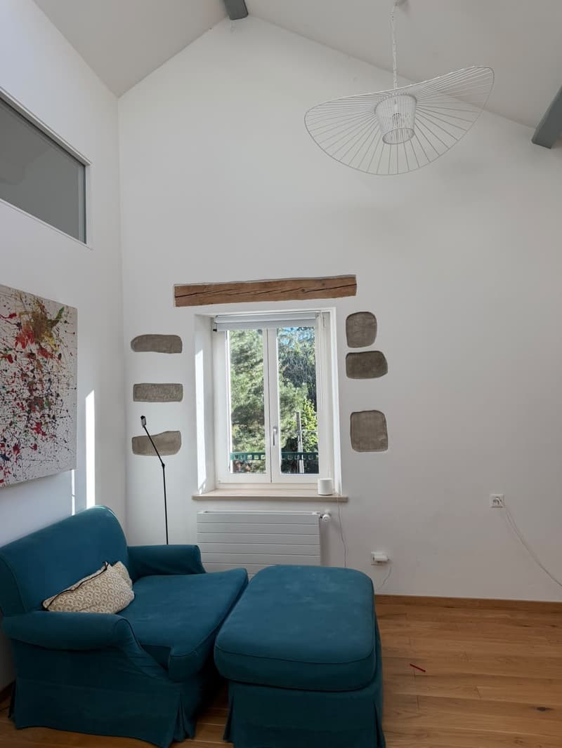 Beau triplex rénové (14)