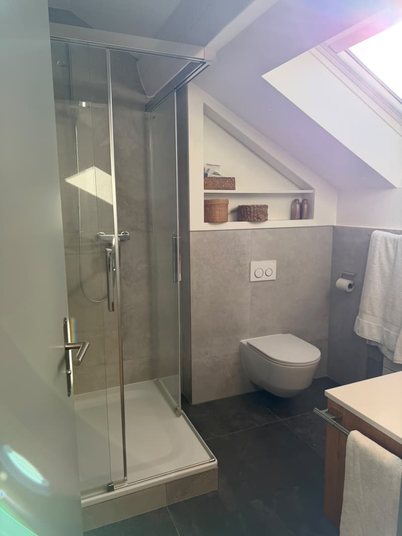 Beau triplex rénové (15)