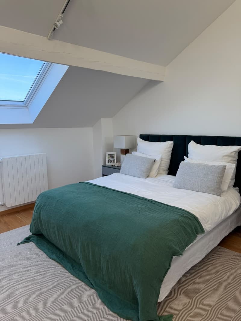 Beau triplex rénové (9)