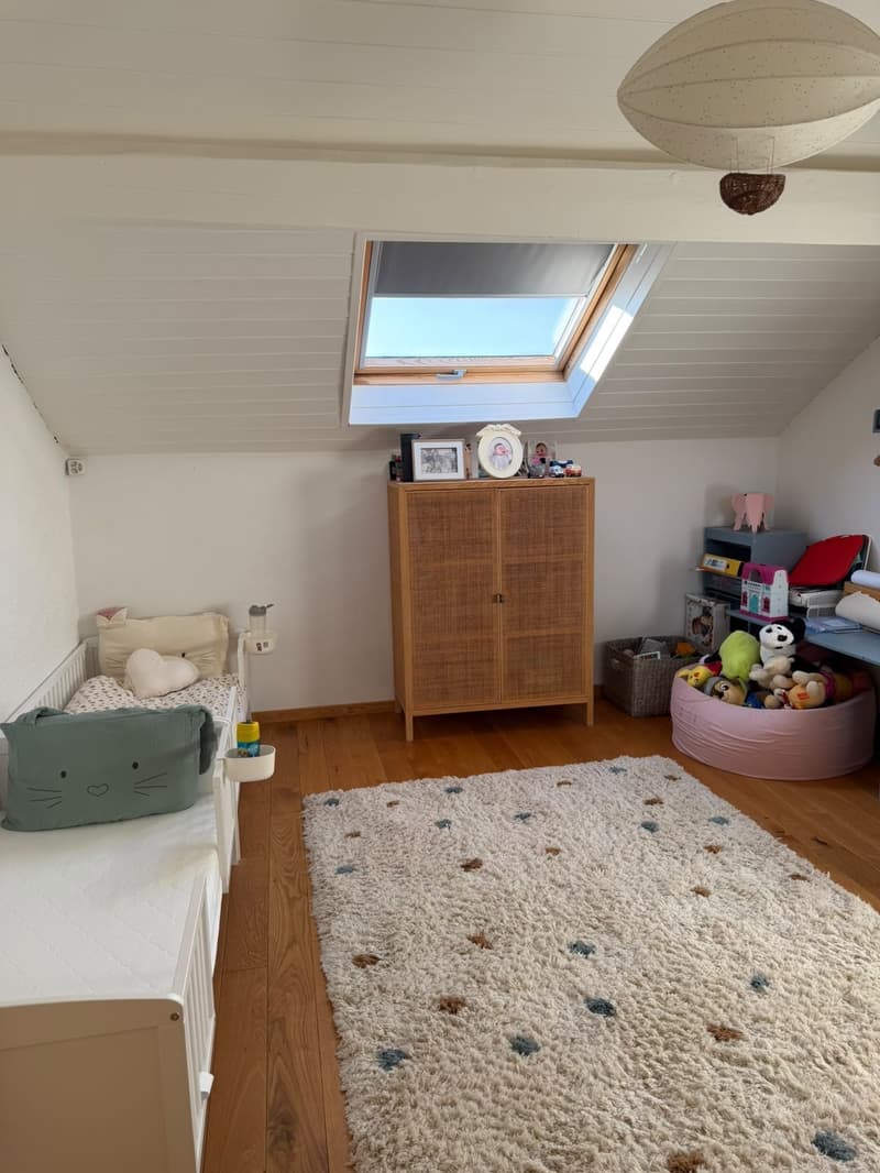 Beau triplex rénové (13)