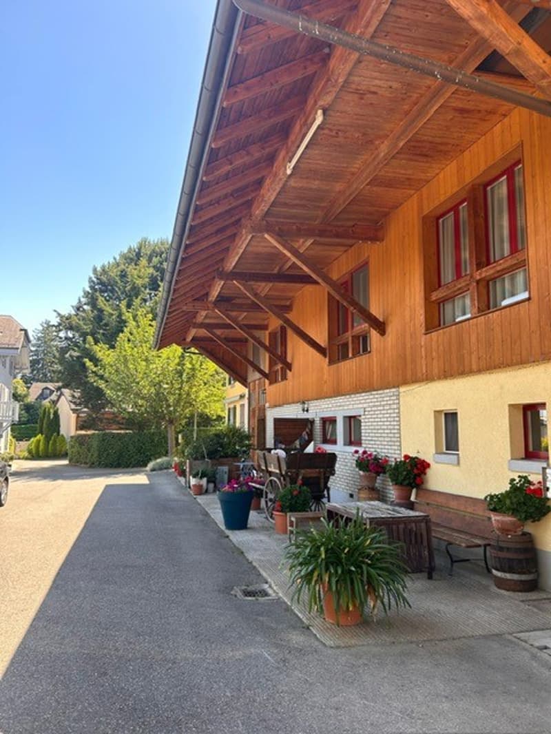Beau triplex rénové (3)