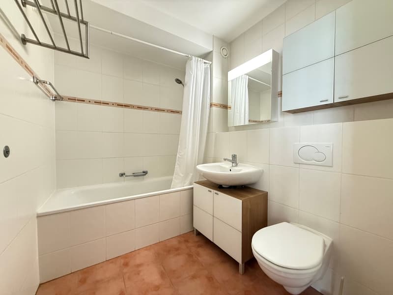 Appartement meublé de 3.5pces (3)
