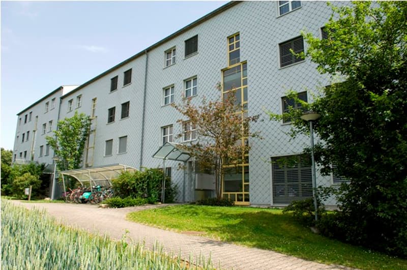 Haus