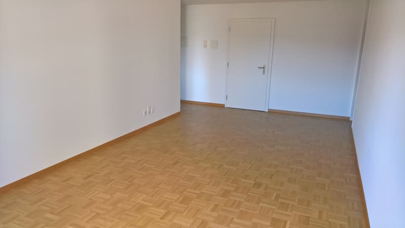 Eingang/Wohnzimmer