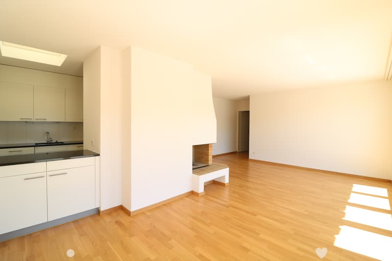 2.5- Zi-Attikawohnung grosser Terrasse / App. attique de 2,5 pièce (3)