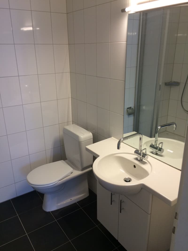 Charmante 3-Zimmerwohnung (4)