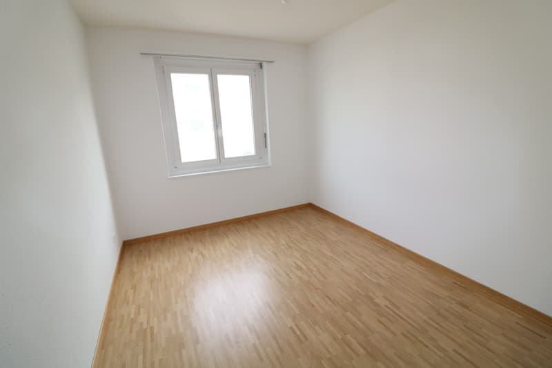 Zimmer3X