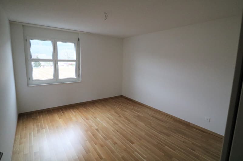 Zimmer1