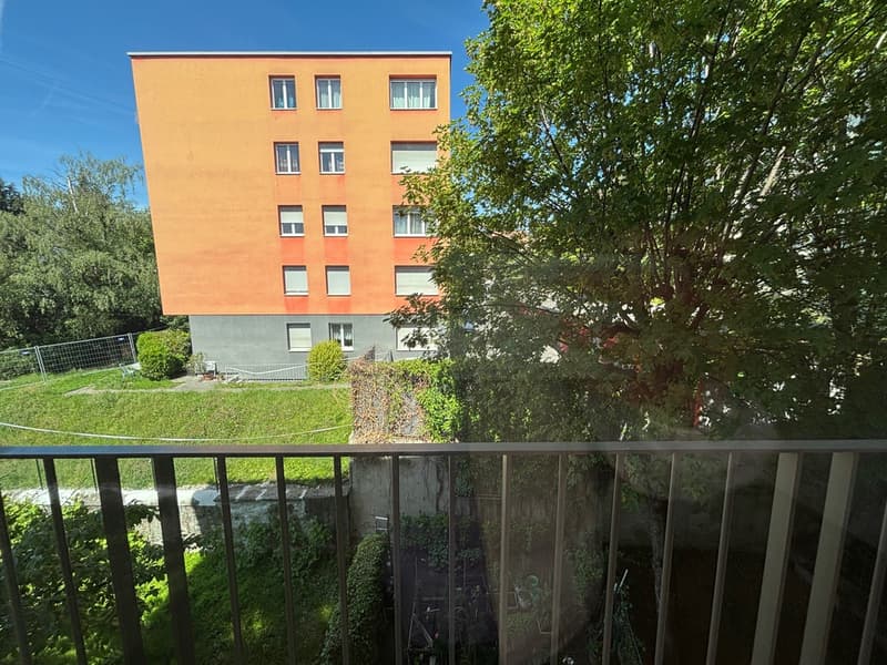 schalpfer_balcon.jpg