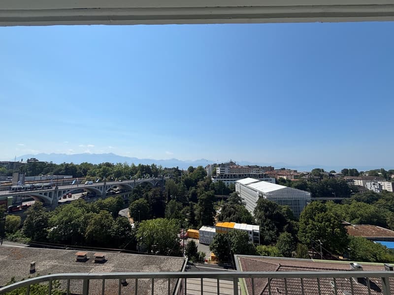 vue_1.jpg