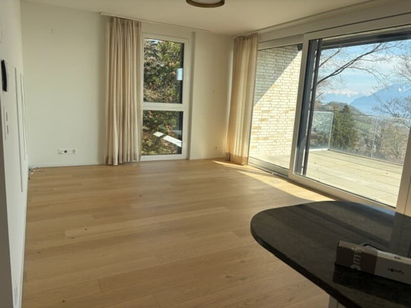 sejour_et_vue_balcon.jpg