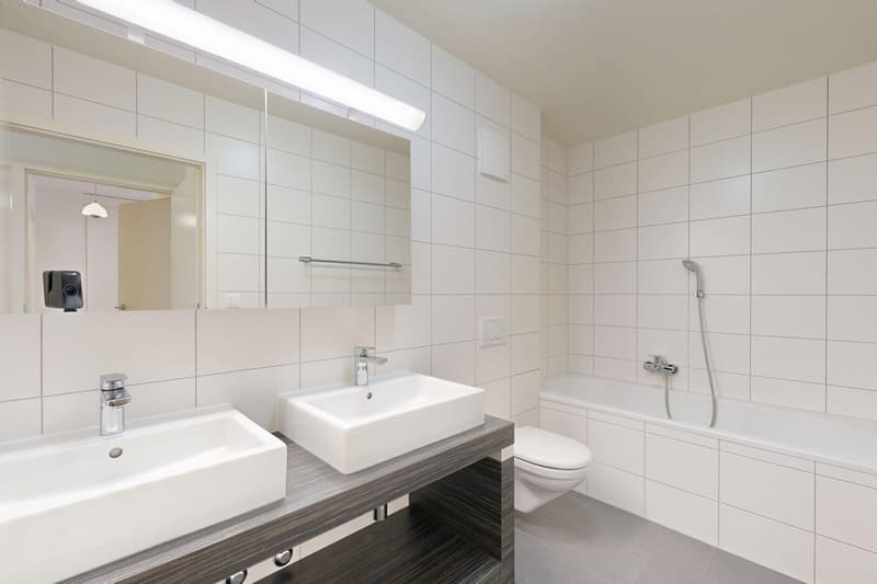 salle de bains/wc