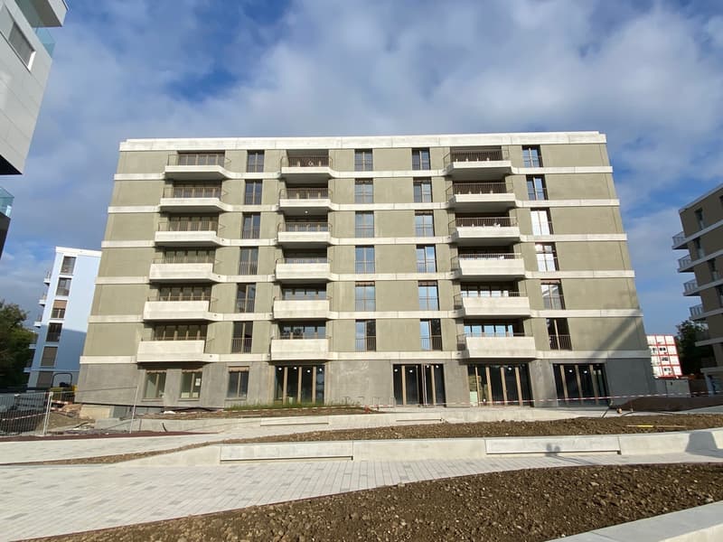 545200_immgris.jpg