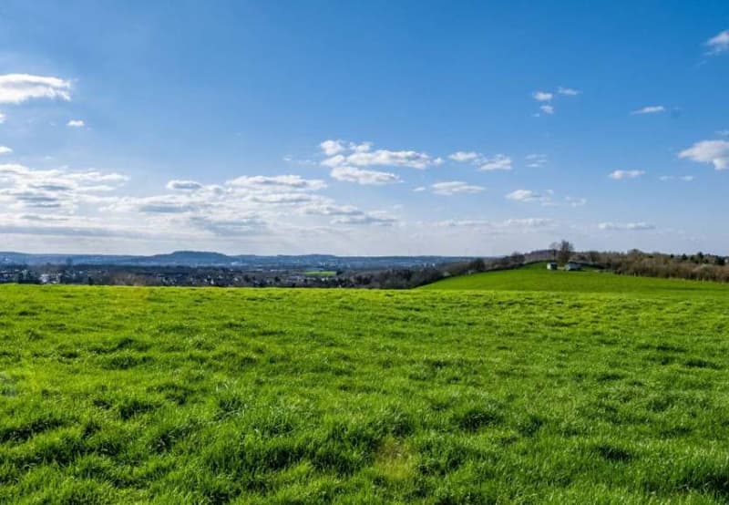 Terrain dans les alentours de Fribourg - libre de mandat - artisanal