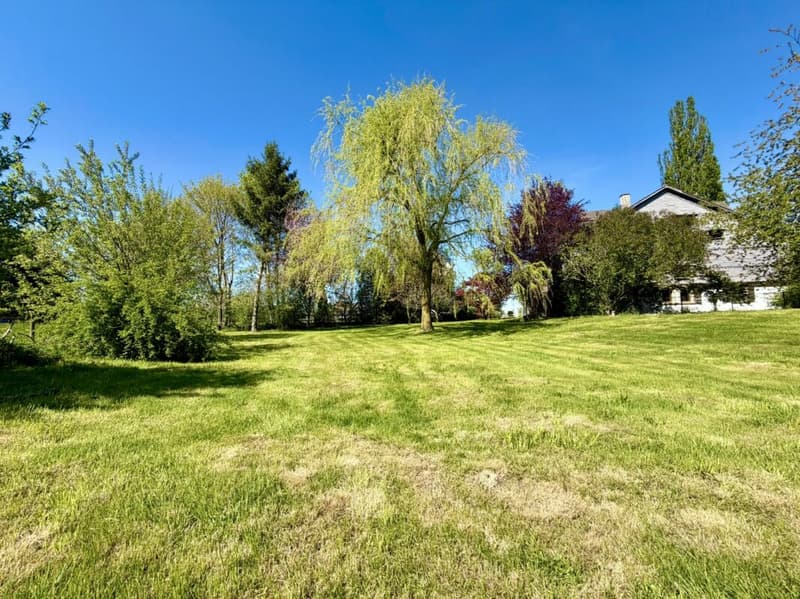 Magnifique ferme renovée dans un coin de Paradis (11)