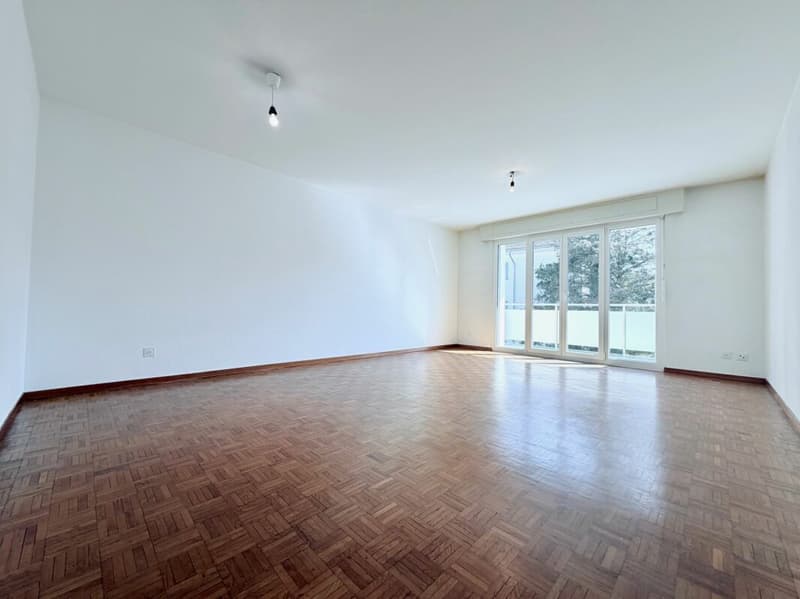 Appartement de rendement 4.5 pcs en attique 110m2 (4)