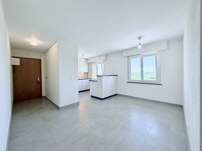 Appartement de rendement 4.5 pcs en attique 110m2 (1)
