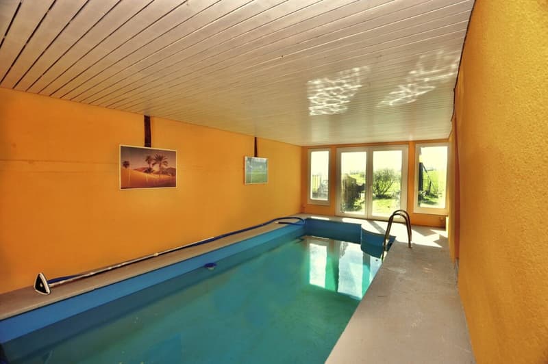Grande Ferme rénovée avec 2 logements et four a pain (9)