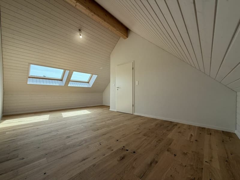 Premier loyer offert ! Duplex 3,5 pièces à Siselen (7)