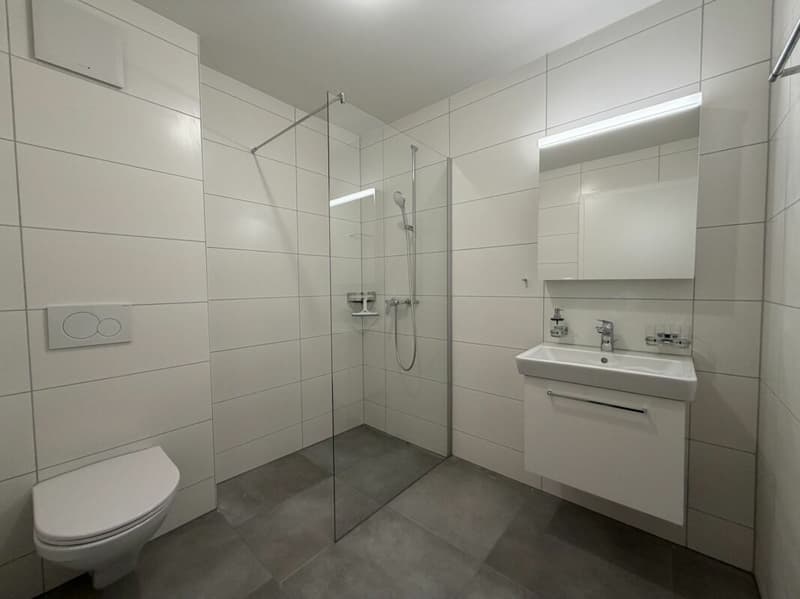 Erste Monatsmiete geschenkt ! 2,5-Zimmer-Wohnung in Siselen (7)