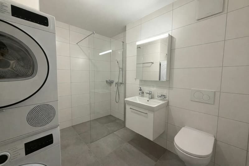 Premier loyer offert ! Duplex 4,5 pièces à Siselen (8)