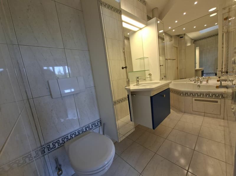 Appartement 5.5 pièces à Fribourg (8)