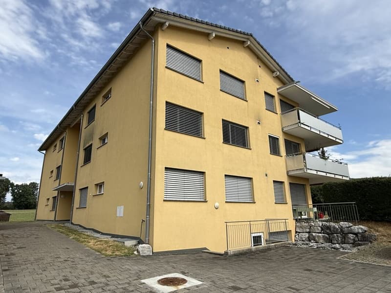 Local dépot de 45 m2 à Rossens (6)