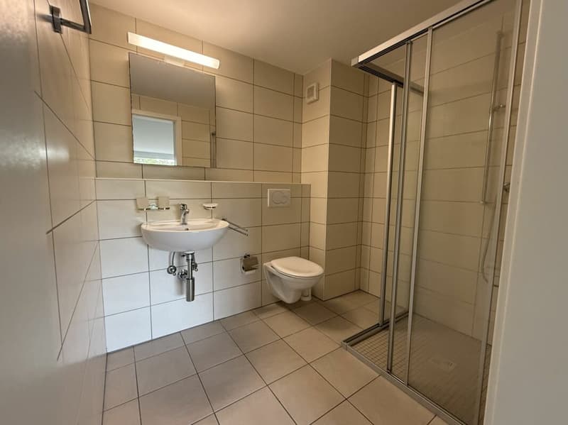 Local dépot de 45 m2 à Rossens (5)