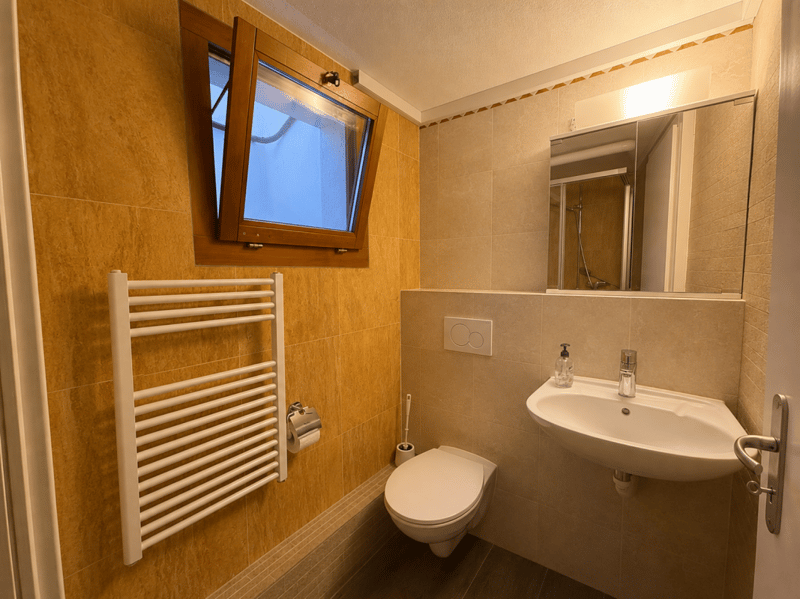 Chambre en colocation à Givisiez (5)
