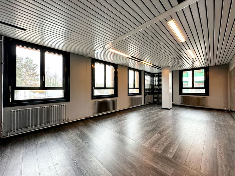 Ensemble de bureaux polyvalents aux portes de Genève (3)