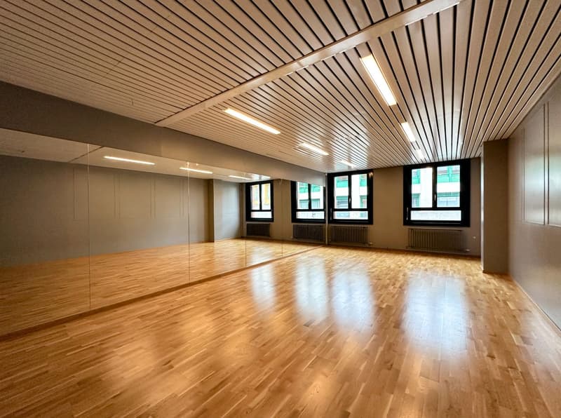 Ensemble de bureaux polyvalents aux portes de Genève (4)