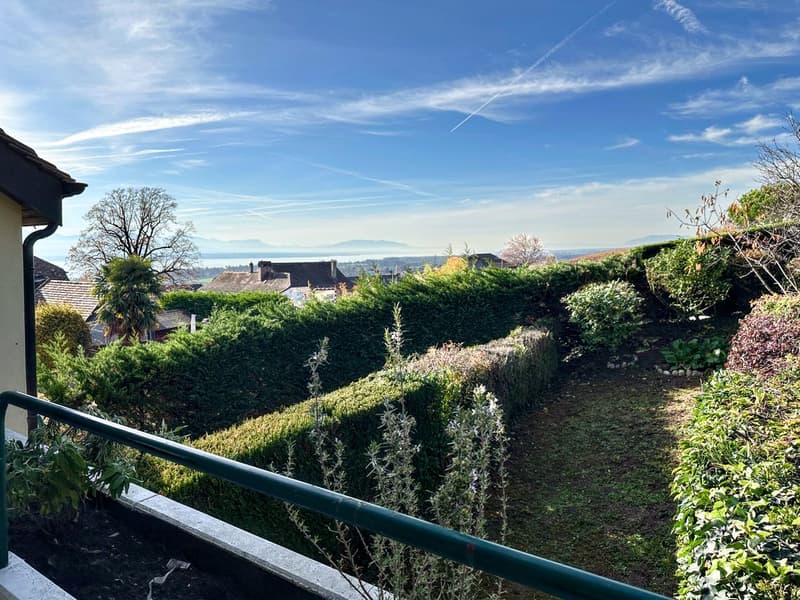 Vue sur le lac depuis le balcon