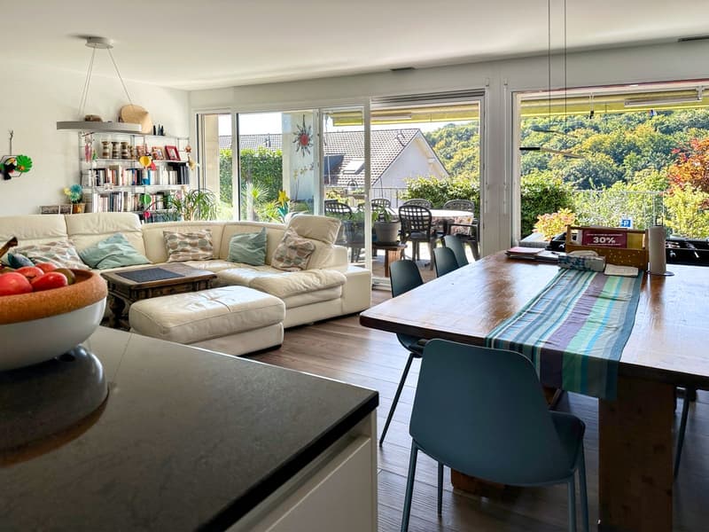 Superbe appartement familial avec balcon-jardin et vue dégagée (3)