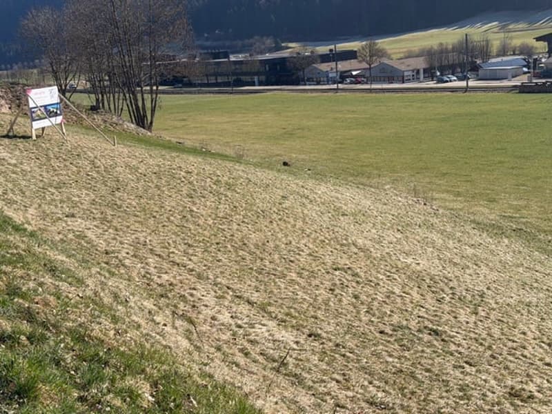open field with grassy patches, few trees, building in the background, sign board with a photo