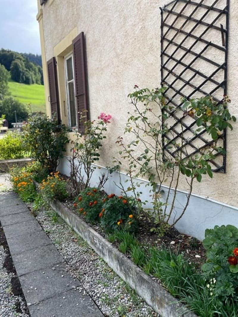 2123 St-Sulpice Vente d’une ancienne maison villageoise à rénover avec grand terrain (9)