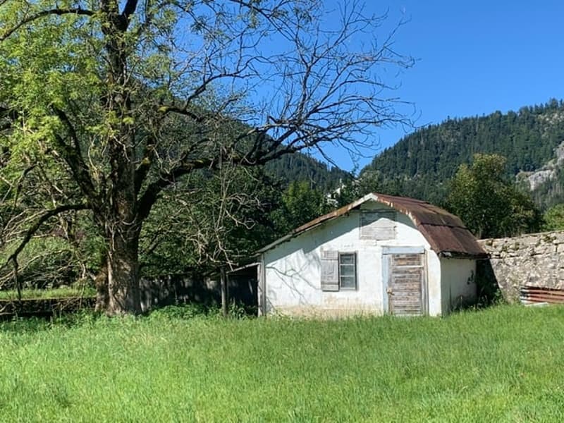 2123 St-Sulpice Vente d’une ancienne maison villageoise à rénover avec grand terrain (7)