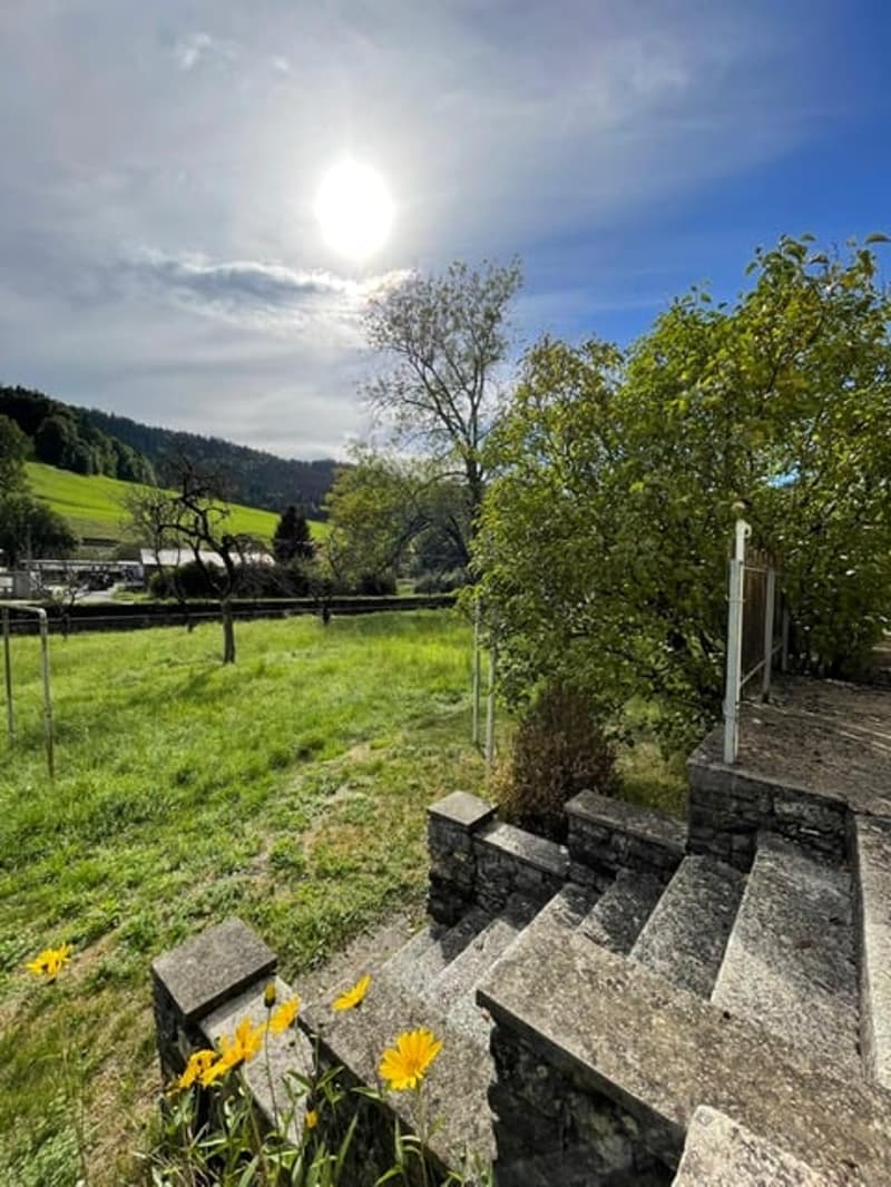 2123 St-Sulpice Vente d’une ancienne maison villageoise à rénover avec grand terrain (5)