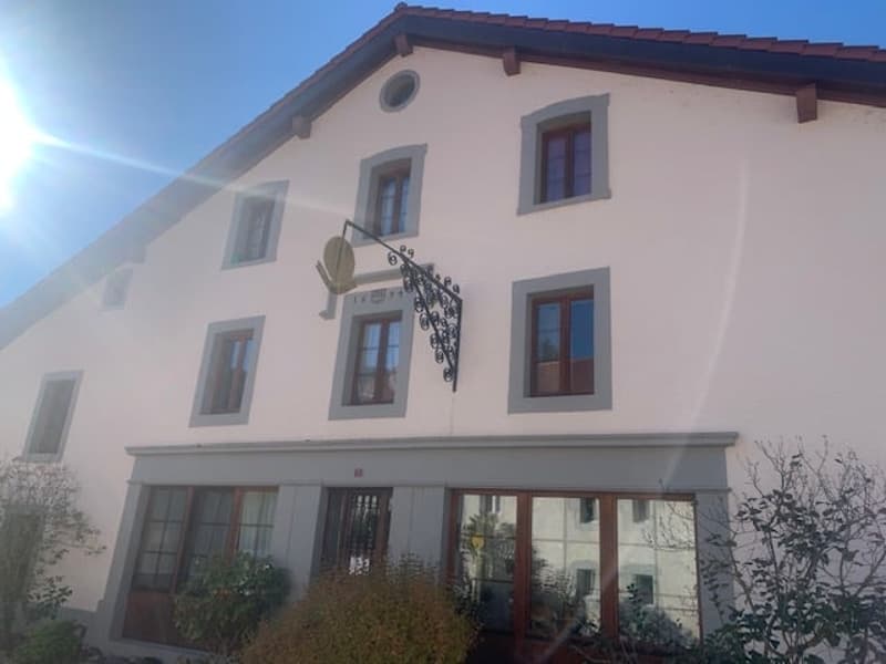 Vente d'une ancienne maison locative rénovée, 10 appartements, parking, grand terrain (2)