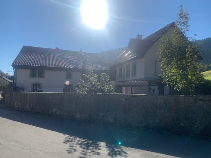 Vente d'une ancienne maison locative rénovée, 10 appartements, parking, grand terrain (5)