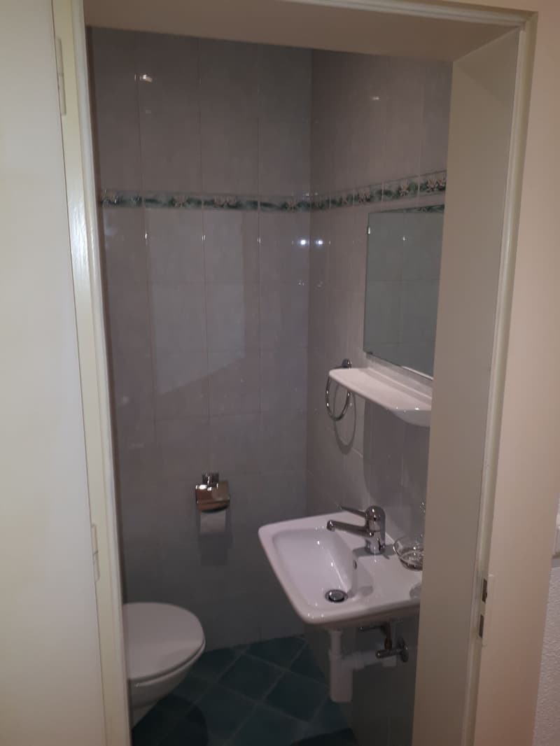 The image shows a bathroom with gray tiled walls, a white sink, and a toilet. The bathroom appears to be small and compact.