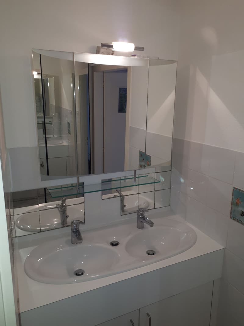 Bathroom with a vanity sink, mirror cabinet, and lighting fixture above the sink