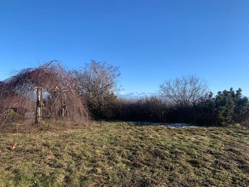 2073 Enges/NE Spacieuse et magnifique villa avec 3 garages et vue sur les 3 lacs (5)