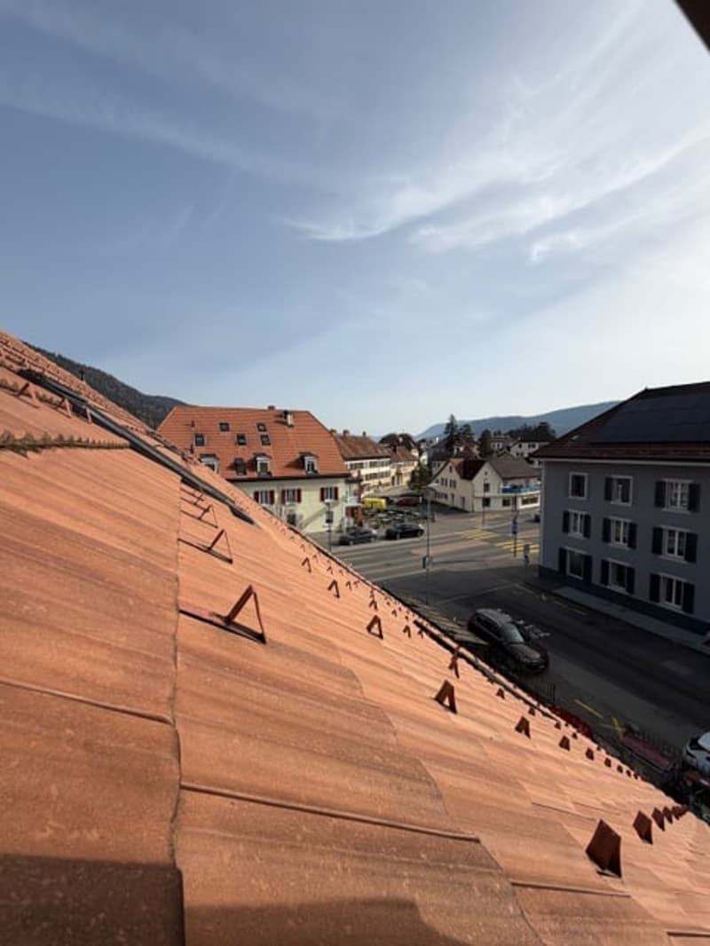 Roof of a house, brown tiles, buildings in the background, mountains