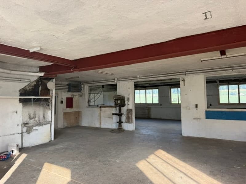 Immeuble mixte résidentiel et commercial 2314 La Sagne/NE (7)