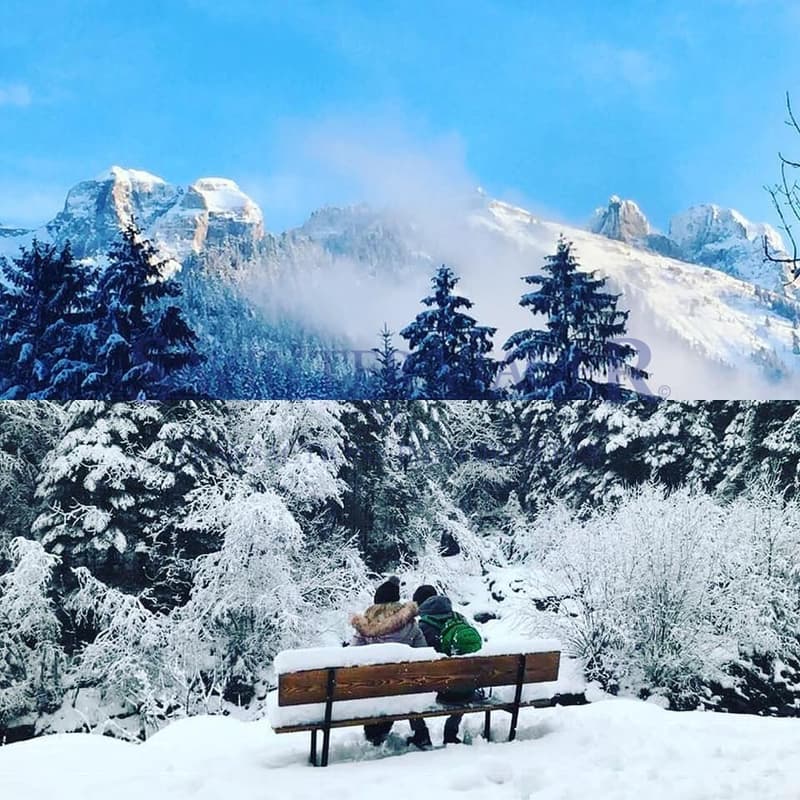 Val-d'Illiez, Pour les amoureux de la nature, superbe chalet en viager (2)