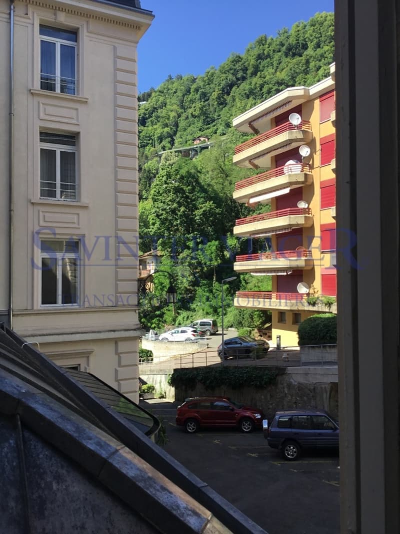 Terittet, Appartement dans un immeuble prestigieux - Viager occupé (6)