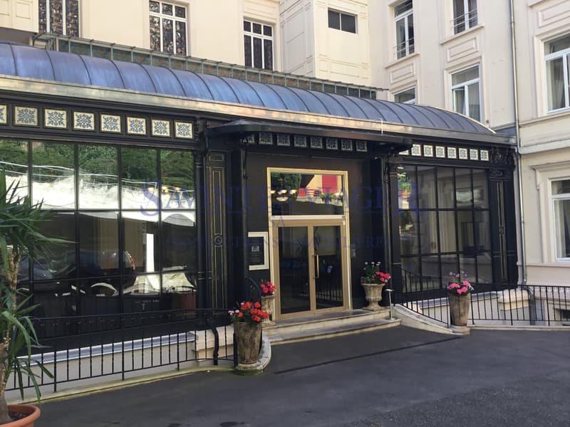 Terittet, Appartement dans un immeuble prestigieux - Viager occupé (3)