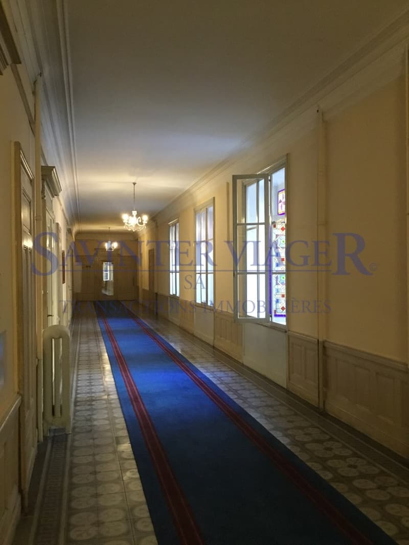 Terittet, Appartement dans un immeuble prestigieux - Viager occupé (11)