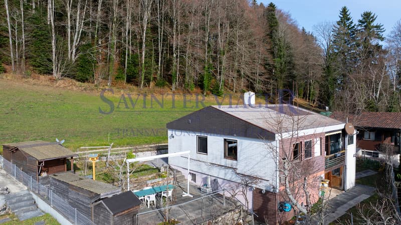 La maison "Les mésanges" en viager occupé (5)