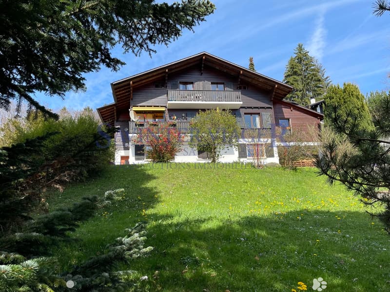 VIAGER. Châtel-St-Denis, Appartement au calme, jardin PPE 2034m2 (3)